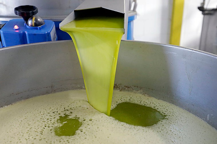 El precio del aceite de oliva se reducirá a la mitad en 2025 si se da este motivo.