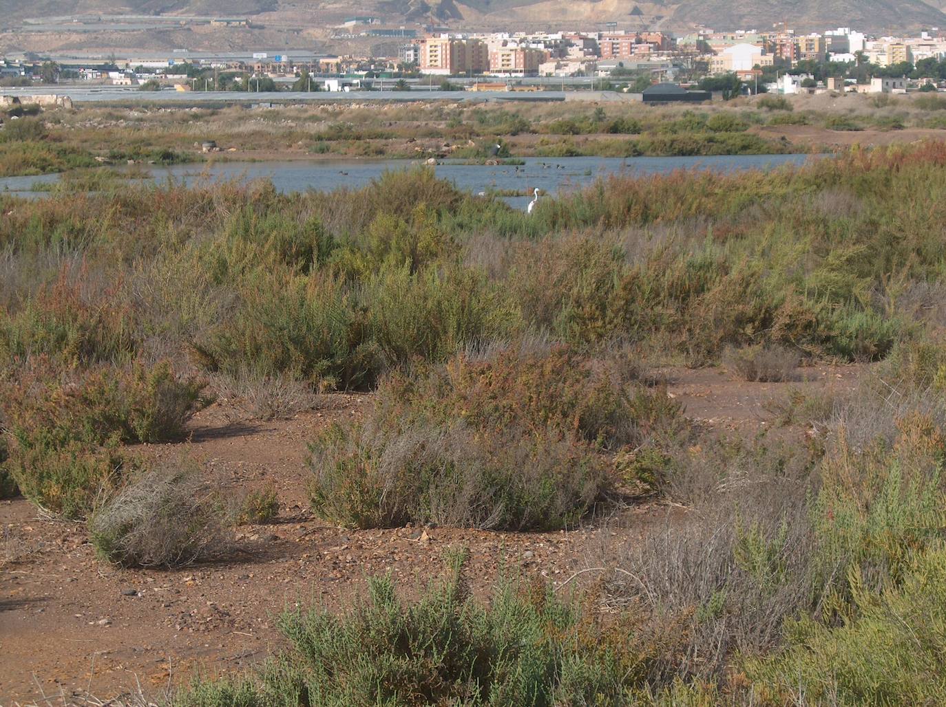 Imagen de archivo de la Salinas de Roquetas.