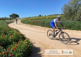 Una prueba del circuito provincial de BTT.