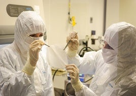 Dos responsables de producción muestran la última fase en la sala blanca de un trozo de piel artificial.