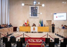 Pleno del Ayuntamiento de Almería.