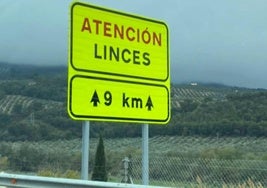 Cartel ya instalado en la autovía A-44 (Bailén-Motril), cerca de La Guardia de Jaén.