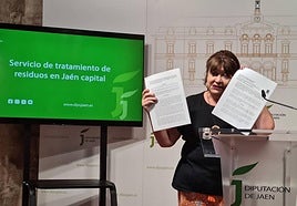 La vicepresidenta de la Diputación, Pilar Parra, este jueves.