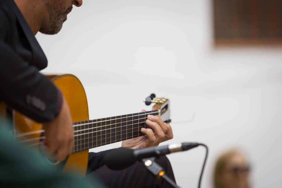 El flamenco albaicinero, en imágenes