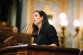 De Meer afirma que han llegado más de 30.000 inmigrantes ilegales a Almería en los últimos cinco años  