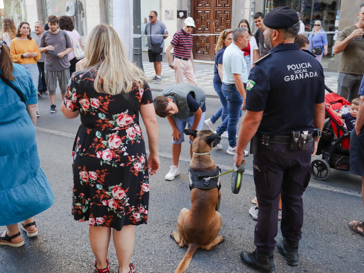 El día sin coches en la nueva peatonalización de Granada, en imágenes