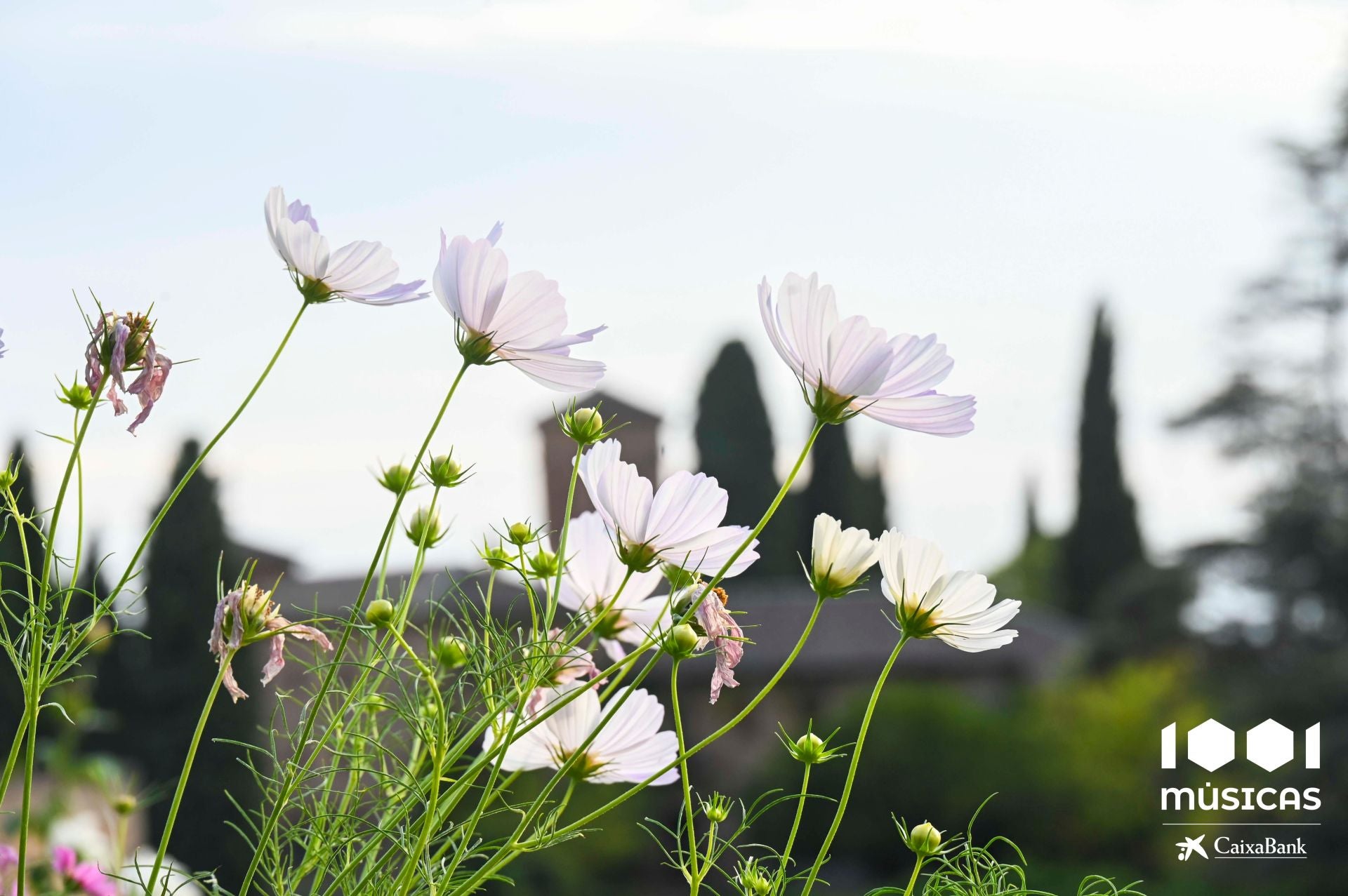 Las mejores imágenes del concierto de María José Llergó en el Generalife