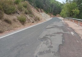 Tramo afectado por los cortes en la carretera A-319.