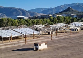 Montaje de las casetas para San Lucas 2024, que oficialmente será del 12 al 22 de octubre.