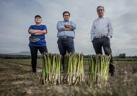 El presidente de la nueva cooperativa Centro Sur Granada, entre una agricultura y el anterior gerente de una de las cooperativas fusionadas.