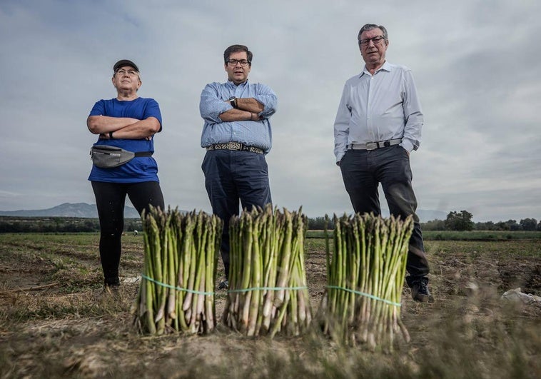 El presidente de la nueva cooperativa Centro Sur Granada, entre una agricultura y el anterior gerente de una de las cooperativas fusionadas.