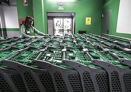 Los supermercados de España contarán con nuevos carros inteligentes