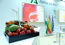 Andalucía, protagonista en Fruit Attraction 2024 con 7.000 metros dedicados a sus productos hortofrutícolas