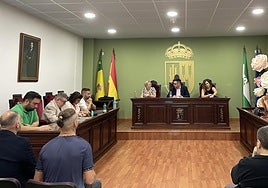 Imagen de archivo de un pleno del Ayuntamiento de Tabernas.