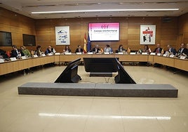 Reunión del consejo interterritorial del Sistema Nacional de Salud.