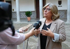 El PSOE tilda de «bochornoso» el papel de Granada en el último programa de fondos europeos