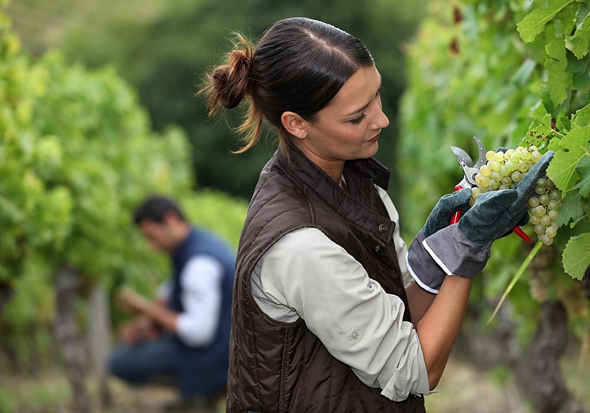 Fernández-Pacheco alumbra 130 millones de ayudas publicas para jóvenes agricultores