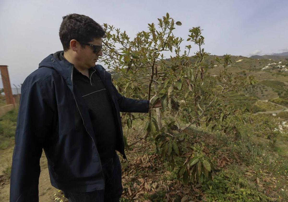 «He empezado a trabajar de jardinero. No me da solo con el campo»