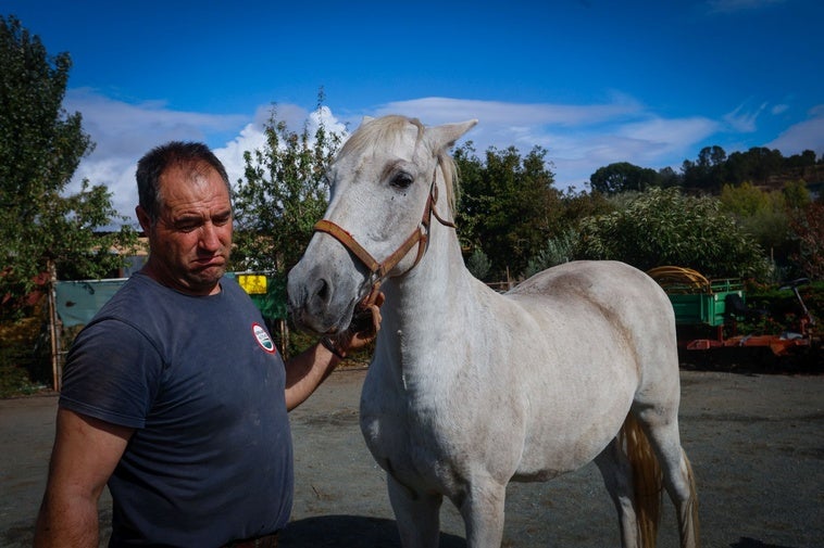 Emilio emocionado al ver a su caballo Nevado recuperado.