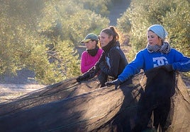 El Estatuto de las Mujeres Rurales y del Mar las sitúa en el centro del debate agrario de Andalucía