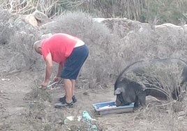 Un hombre alimenta al animal salvaje en el río.