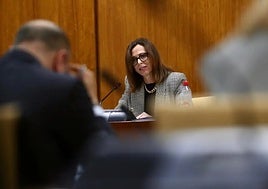 Rocío Díaz, consejera de Fomento.