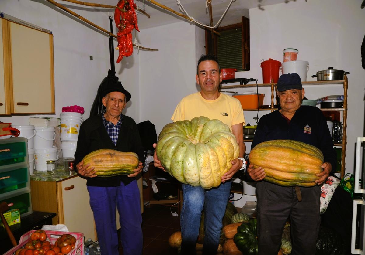 José Vicente Ruiz Laraq y sus calabazas.