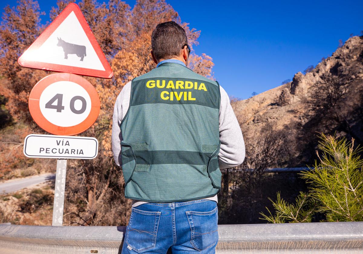 Un agente del Servicio de Protección de la Naturalez de la Guardia Civil de Granada.