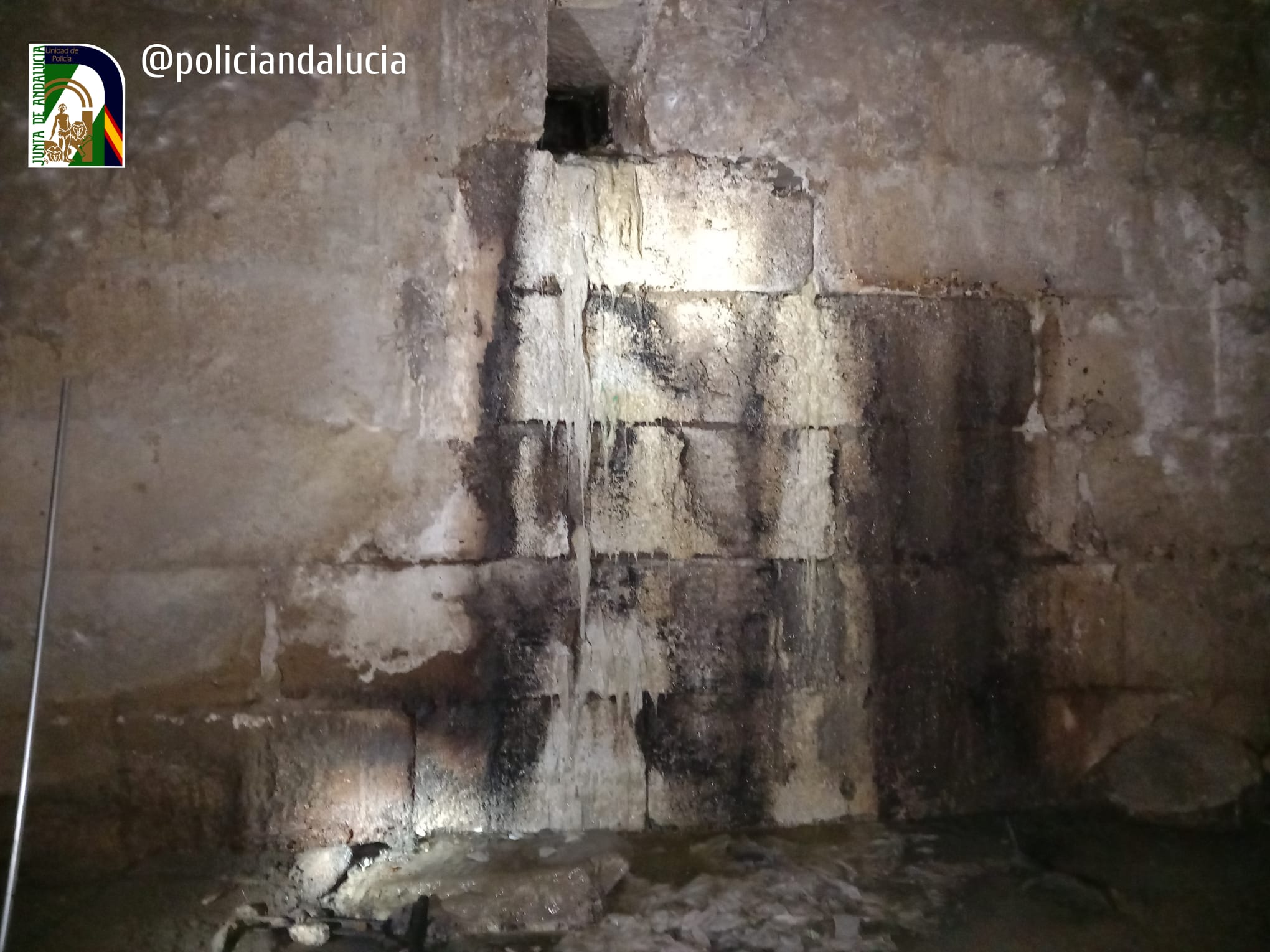 Las imágenes de la suciedad en el Darro por los vertidos de un local de Granada