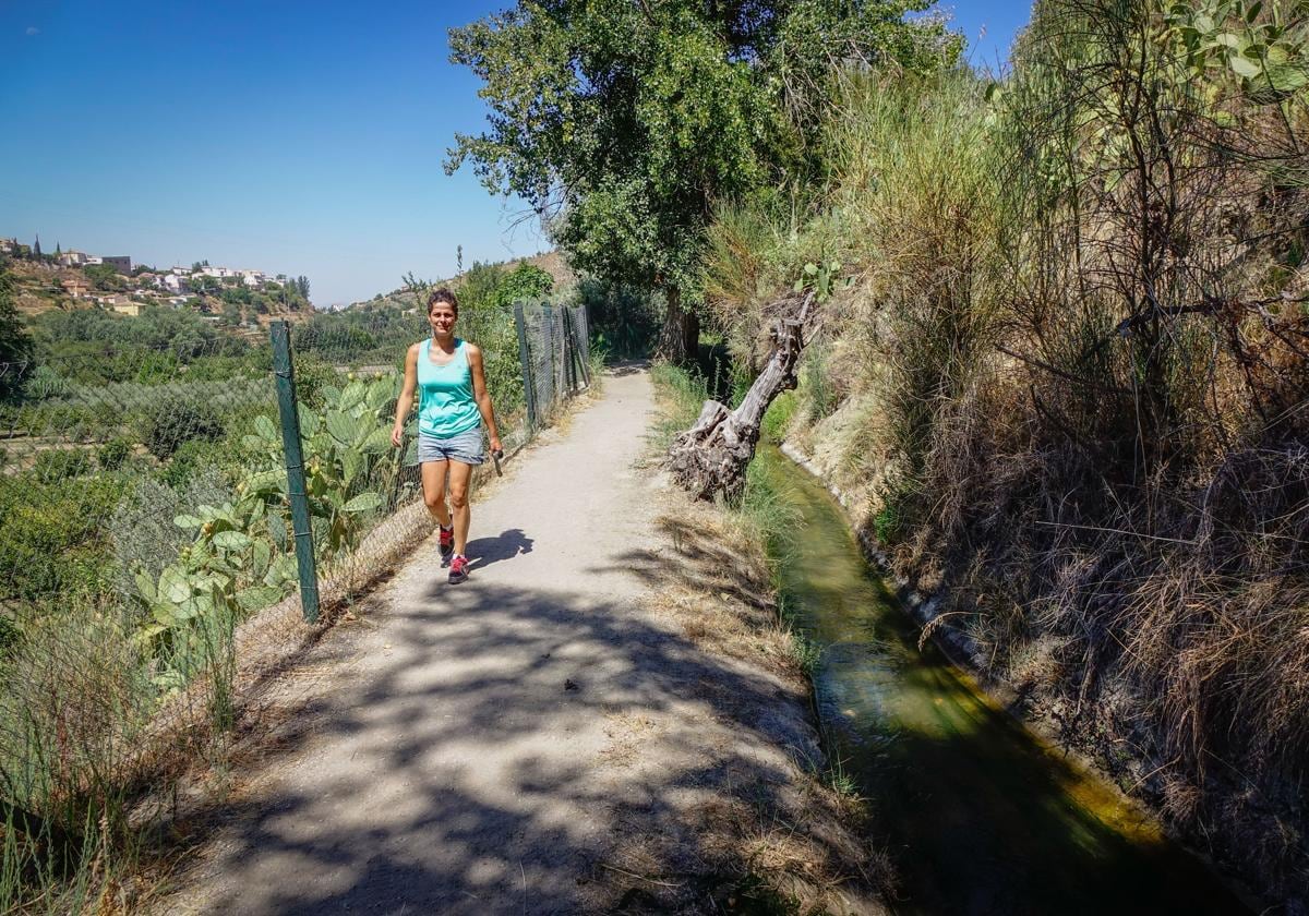 Parte de la ruta de la Acequia del Albaricoque.