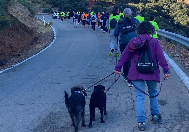 Hilera de participantes en la marcha.