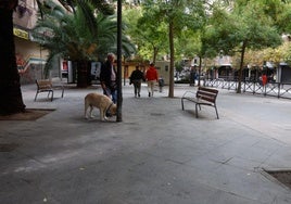 Plaza de Menorca de Granada, donde tuvo lugar el suceso.