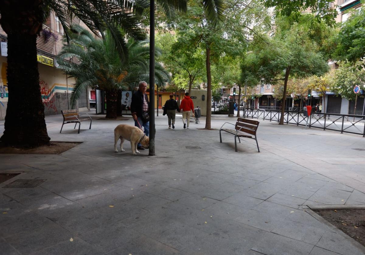 Plaza de Menorca de Granada, donde tuvo lugar el suceso.