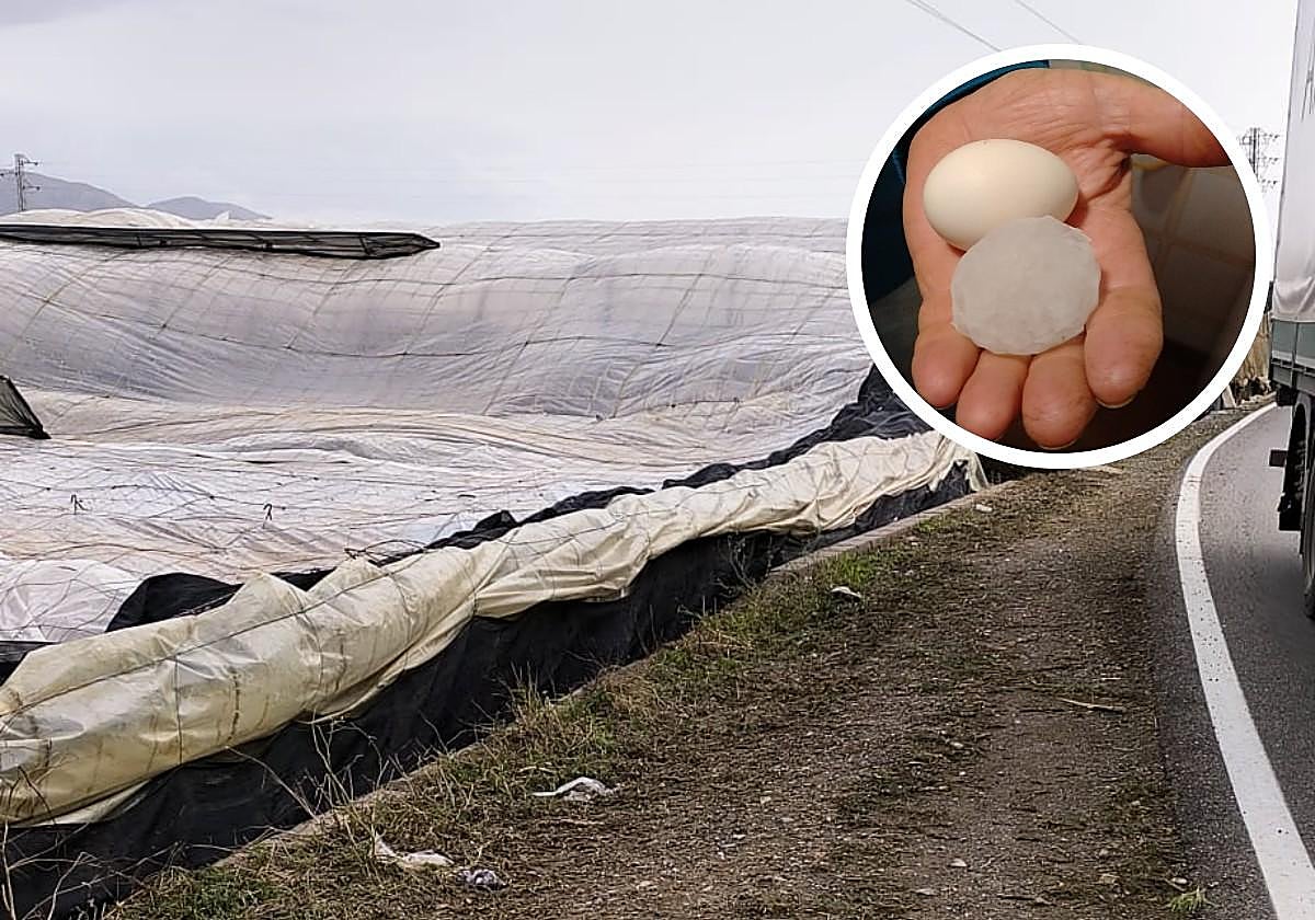 Daños de la DANA a invernaderos de El Ejido.