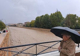 Cauce del río Guadix tras la crecida.