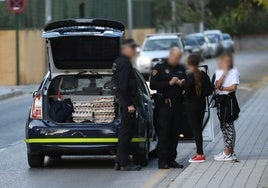 Huevos confiscados por la Policía Local en la víspera de Halloween en Granada.