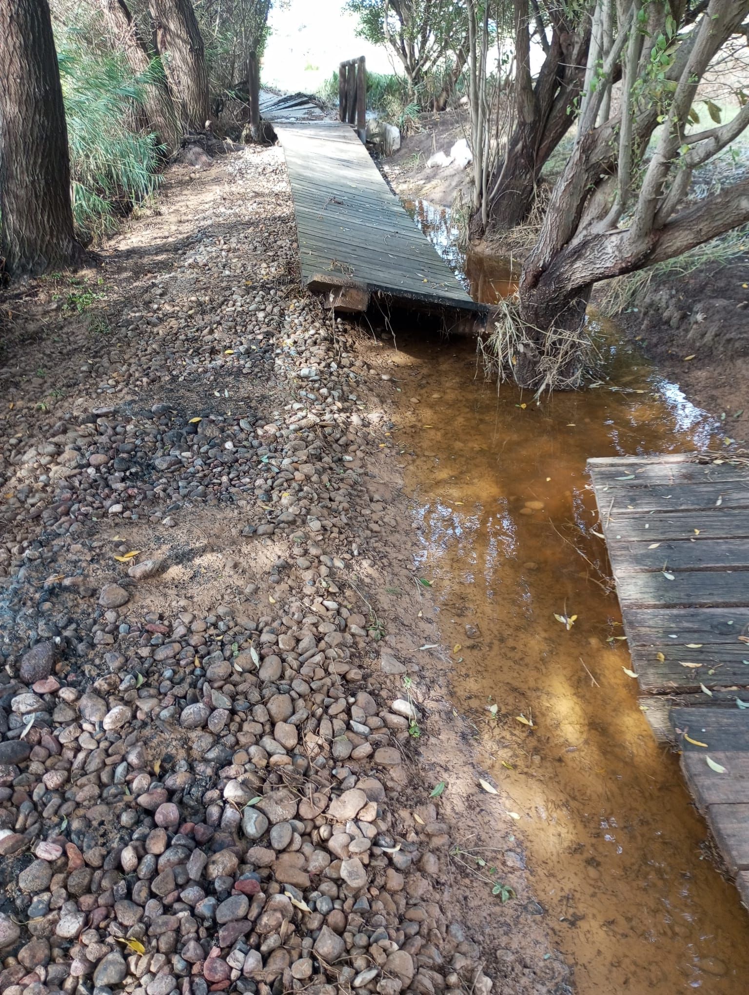 Las tablas de madera, desplazadas por la lluvia en el sendero.