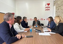 Reunión de concejales del grupo socialistas con el coordinador del PGOM.