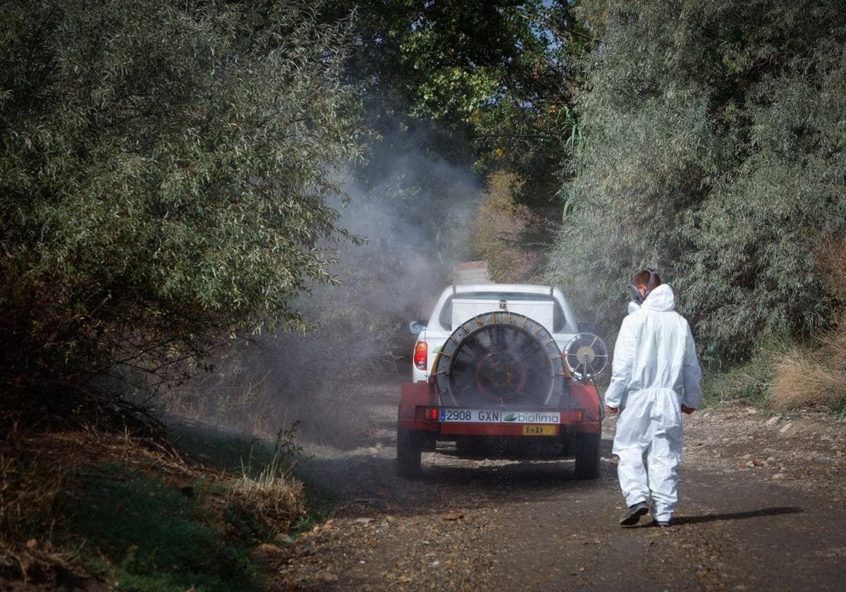 Labores de fumigación en el norte de la provincia de Granada.