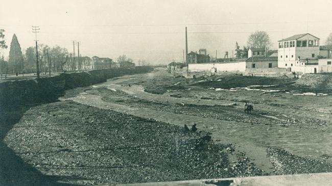 Imagen antes - La imagen del cauce del río Genil cuando era mucho más ancho y estaba lleno de animales