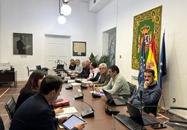 Desarrollo de la comisión ejecutiva de la Asociación Española de Municipios de Montaña.