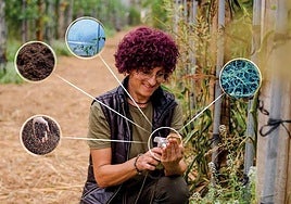 Vellsam coorganiza el V Simposio de Agricultura Ecológica los días 6 y 7 de noviembre en El Ejido