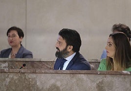 Vox acusa al PP de «incapacidad» para resolver el problema de los taxis pirata en Almería