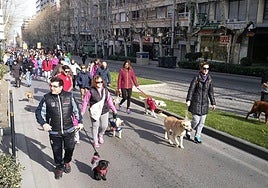 Imagen de archivo de una manifestación en Jaén en defensa de los derechos de los animales.
