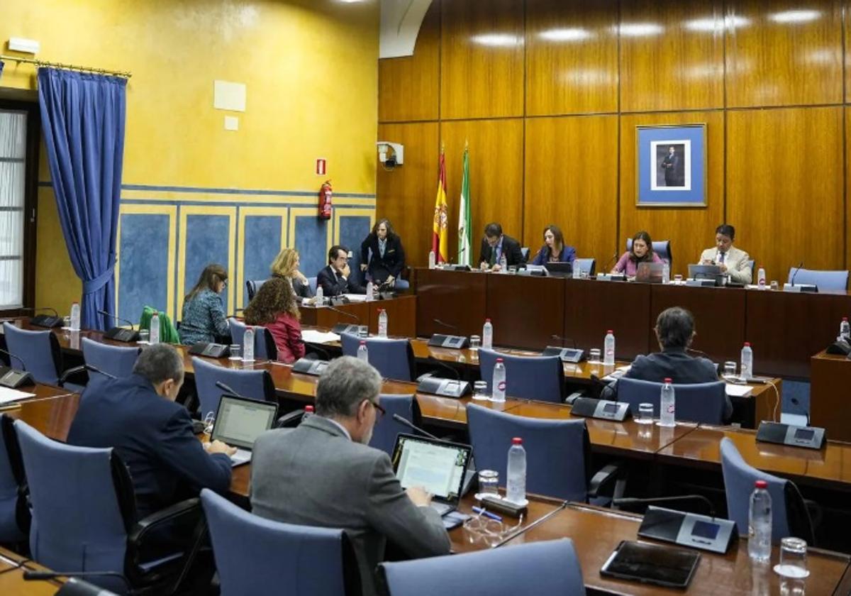 Comisión de Fomento celebrada este martes en el Parlamento.