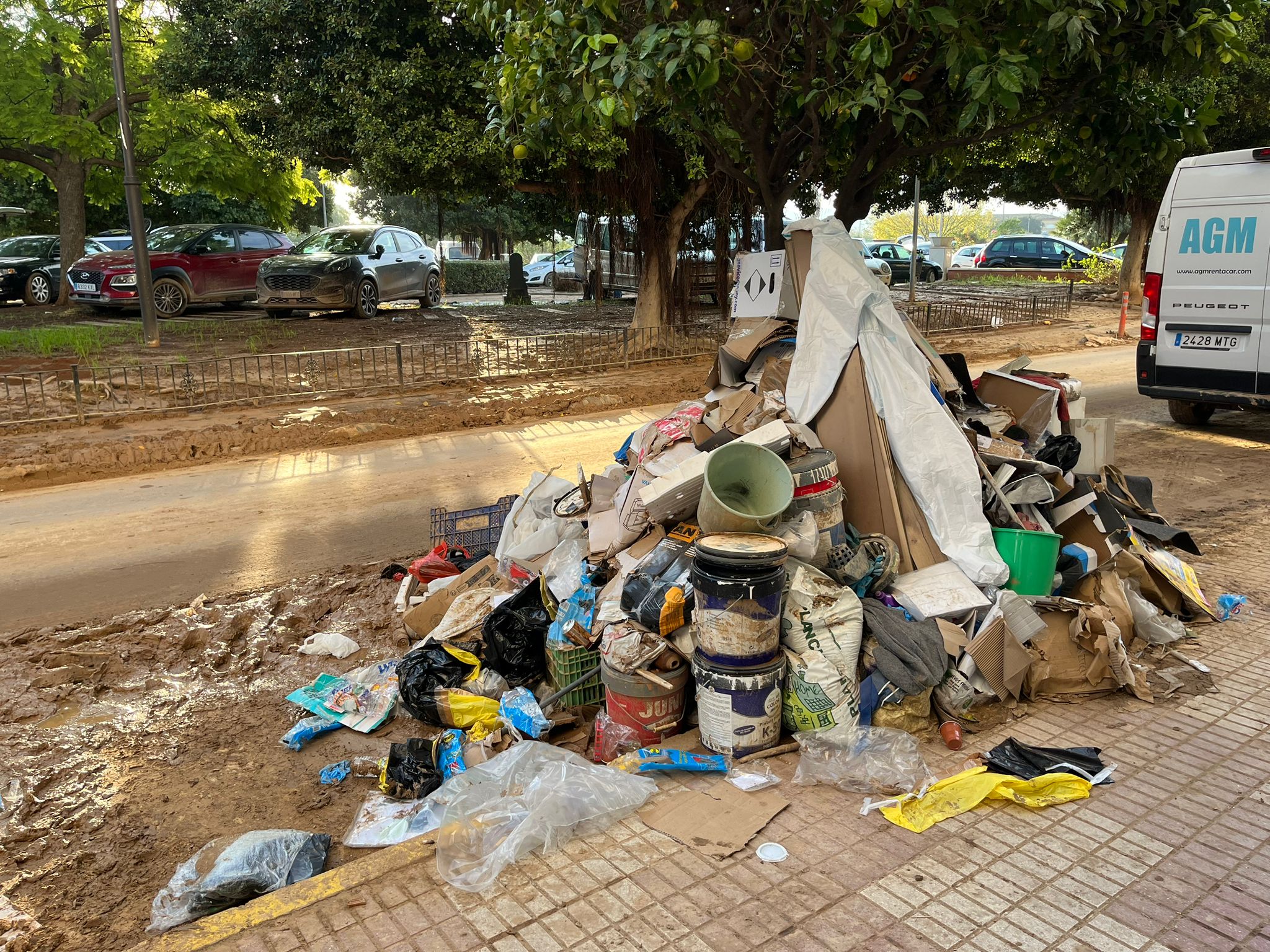 Un recorrido por Algemesí en plena labor de los voluntarios granadinos