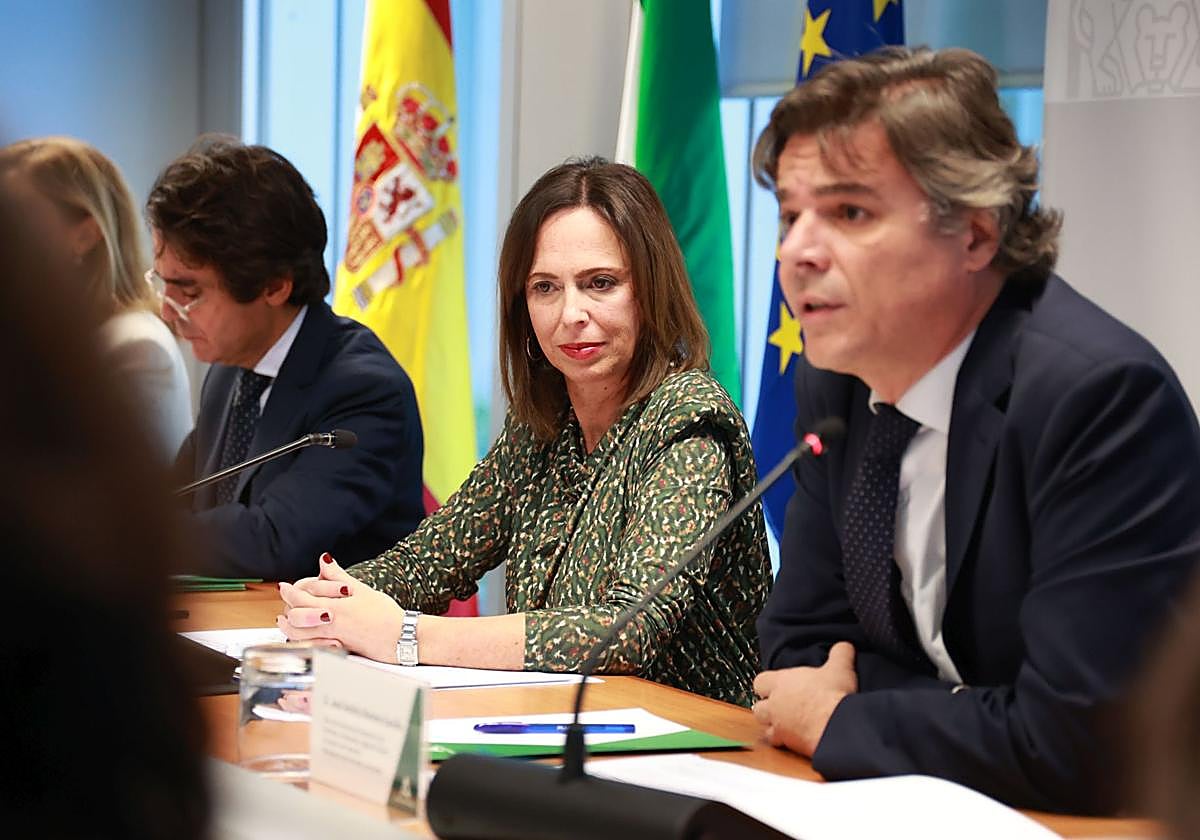Rocío Díaz preside la comisión de redacción de la revisión del Plan de Ordenación del Territorio de Andalucía (POTA)
