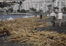 Los efectos del temporal en la Costa de Granada, en imágenes