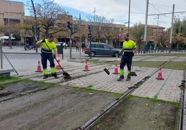 Trabajos para la limpieza de los raíles del tranvía.