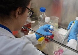 Material científico en la Universidad de Granada.